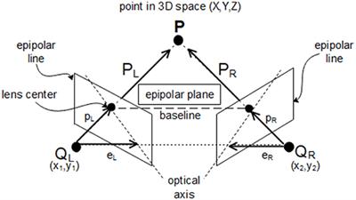 System Identification of Large-Scale Bridges Using Target-Tracking Digital Image Correlation